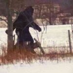 bigfoot sightings