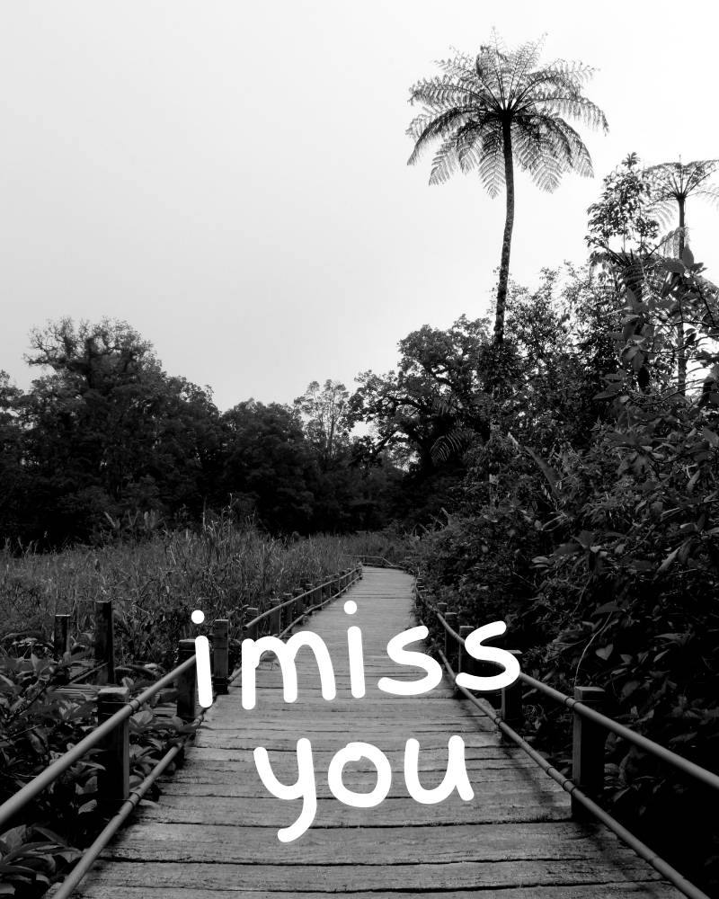 i miss u photo