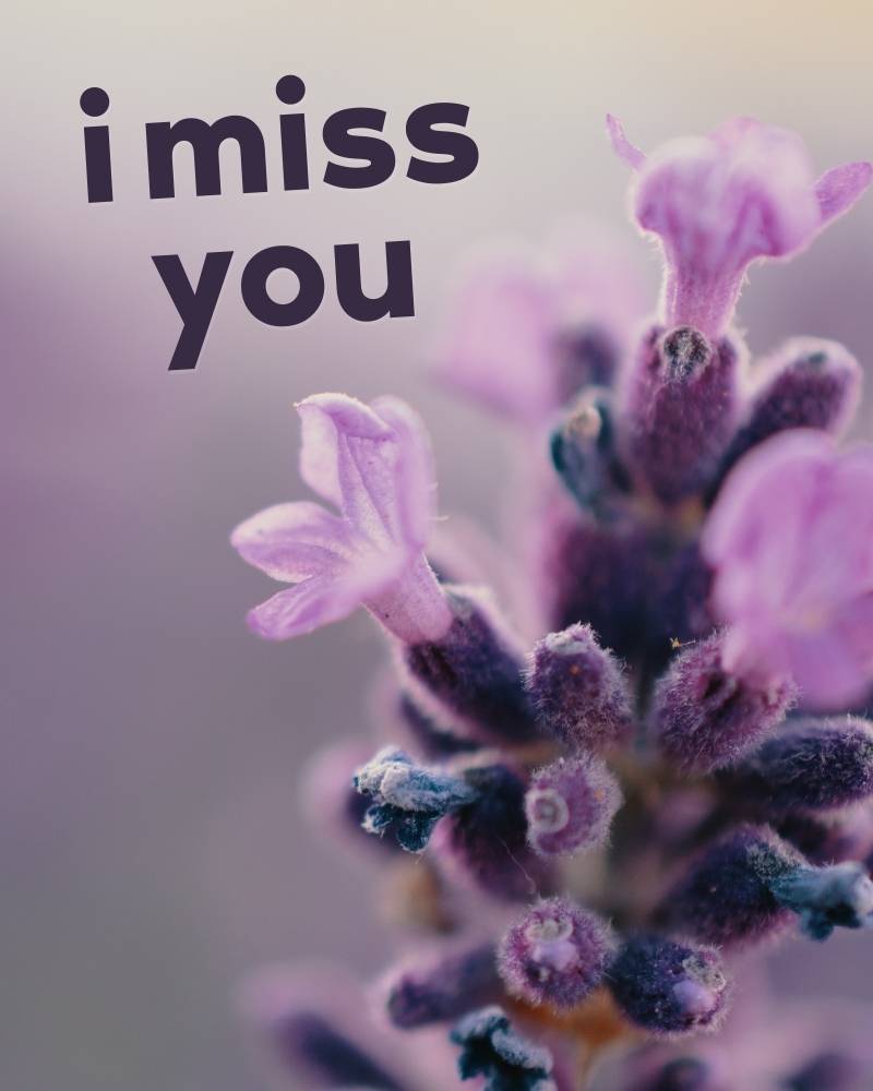 imissyou picture