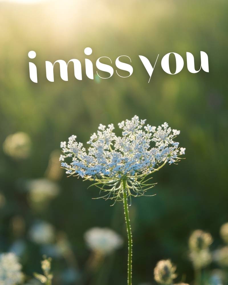 imissyou wallpapers