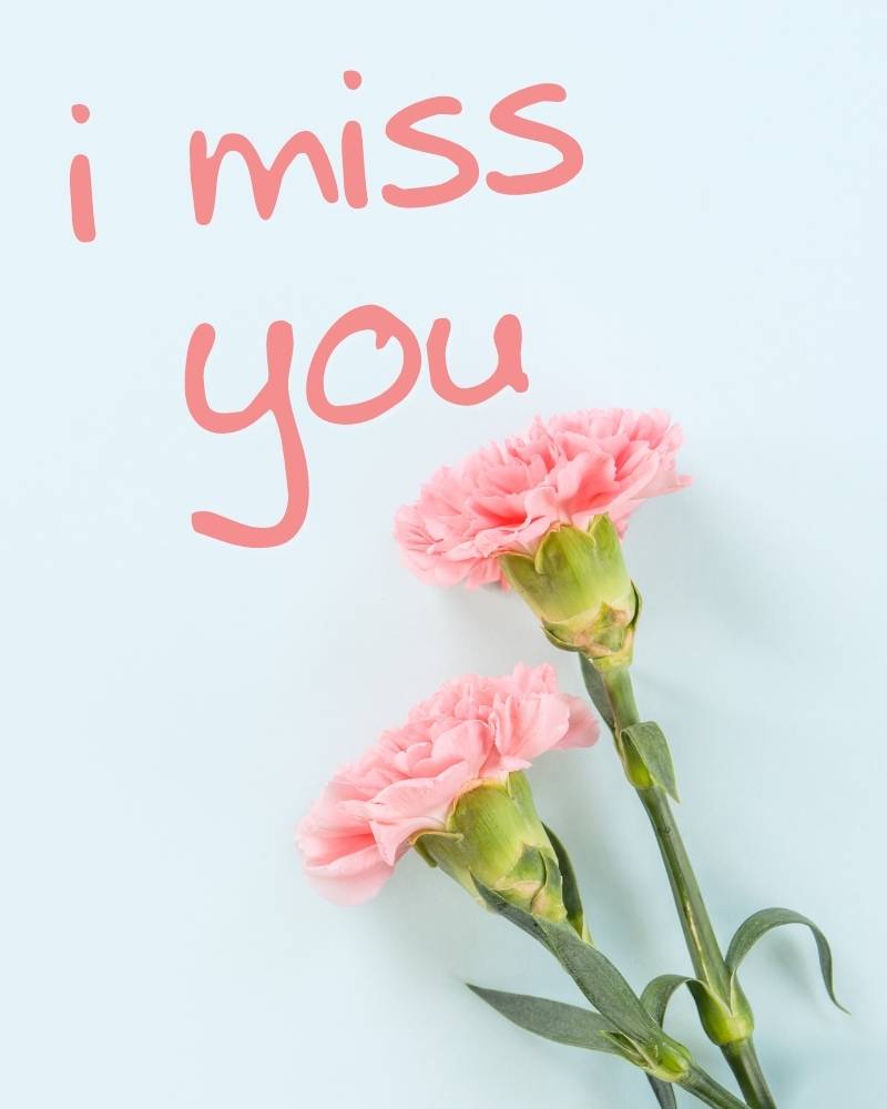 imiss you pic