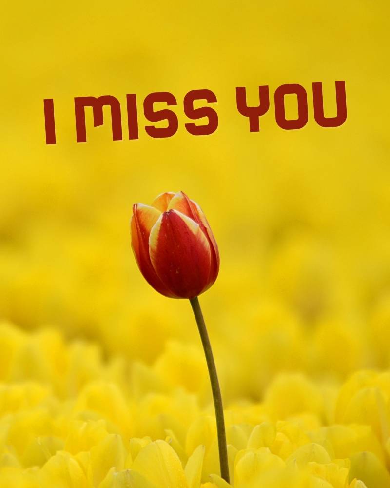 imiss you wallpapers