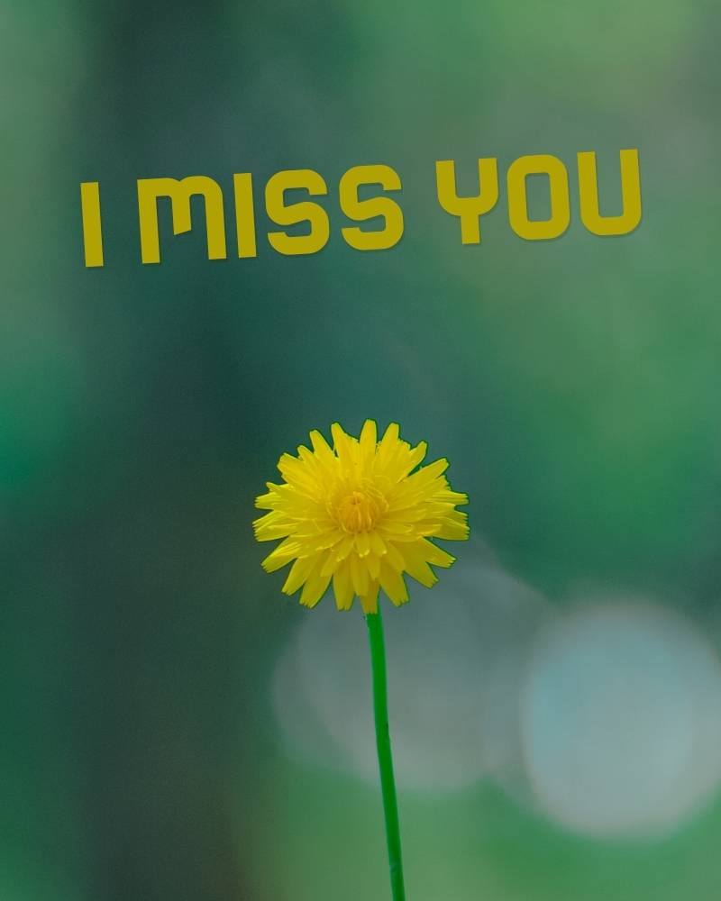 i miss you images download