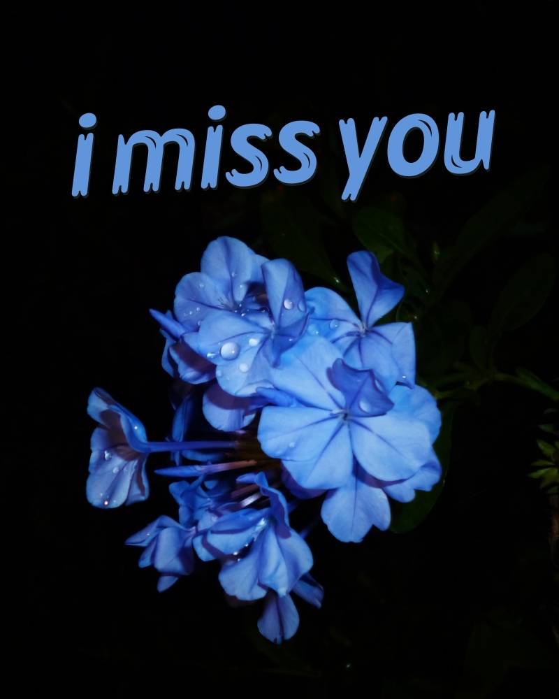 i miss you image download