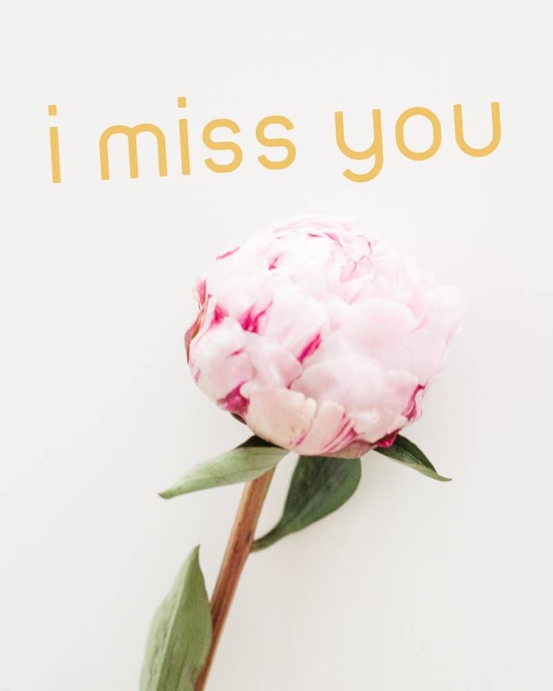 i miss you picture download