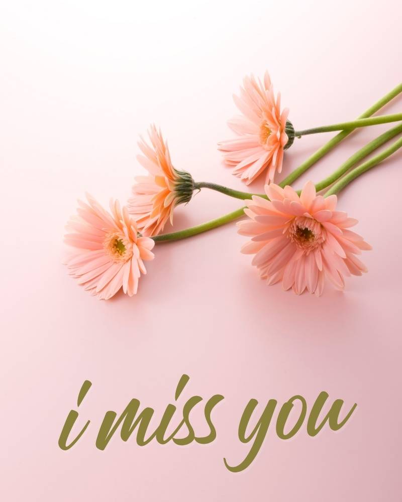 i miss you photos download