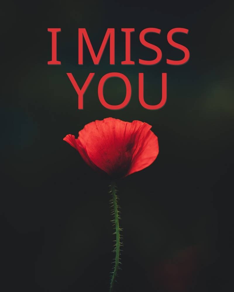 i miss you photo download