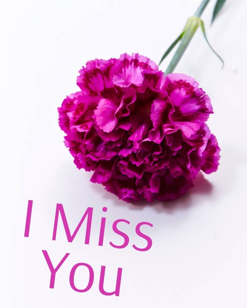 i miss you wallpapers download