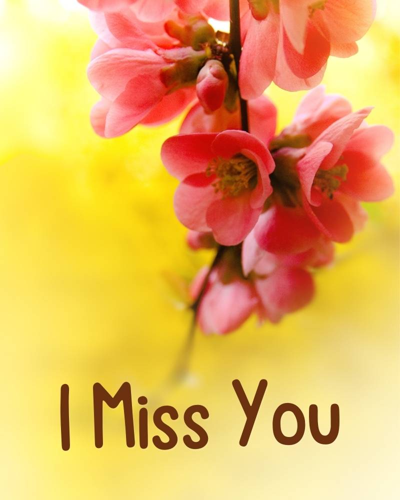 i miss you wallpaper download