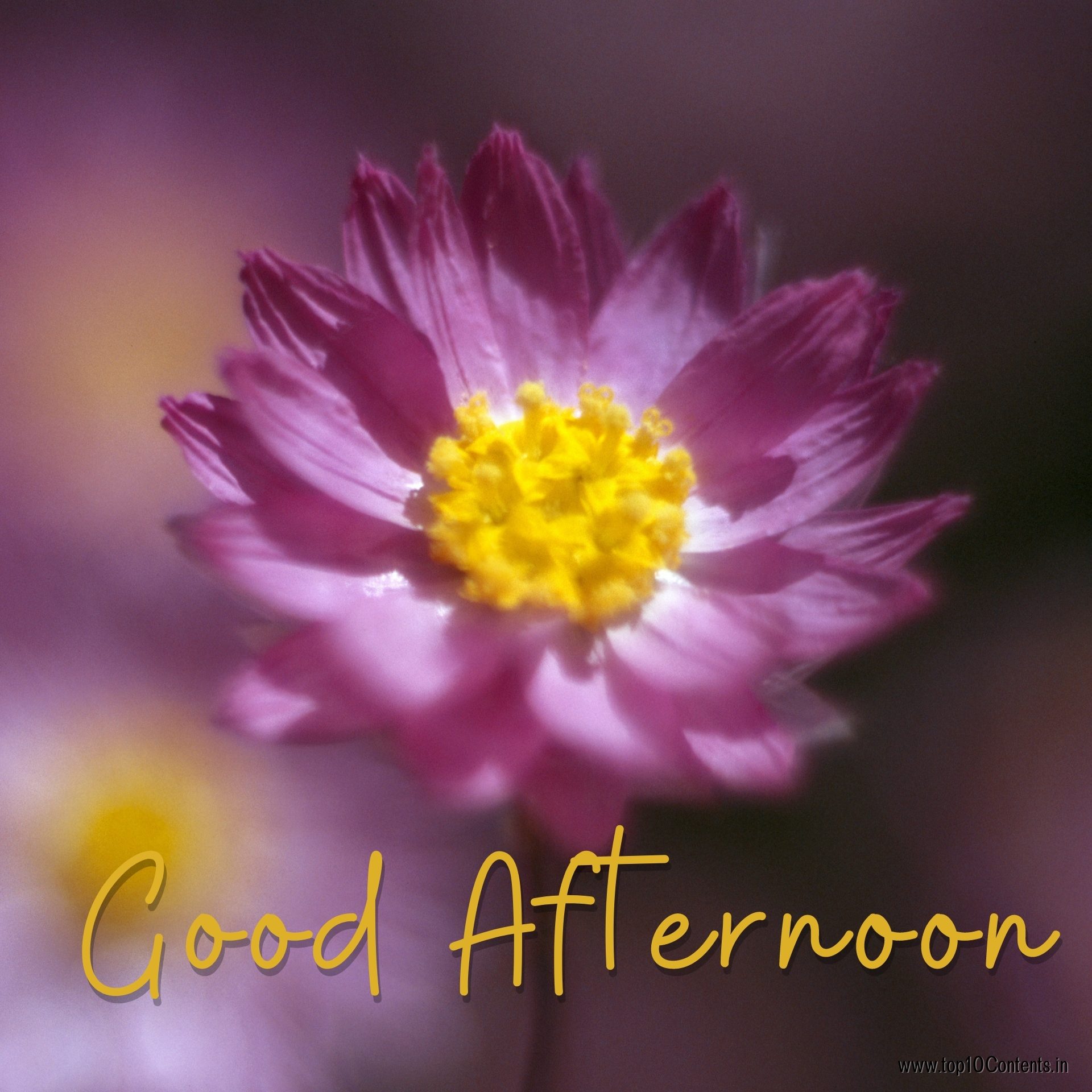 Good Afternoon HD Images